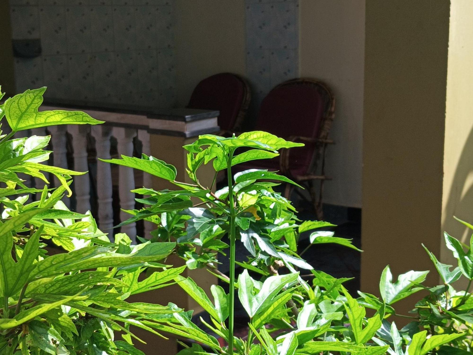 Monsoon Hotell Agonda Rum bild